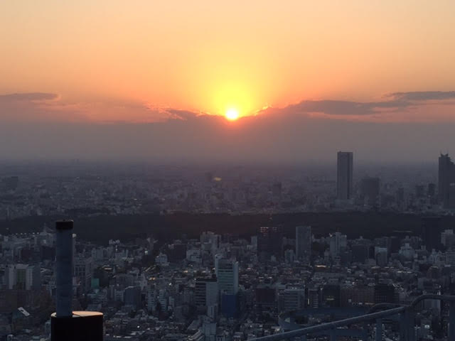 sunset