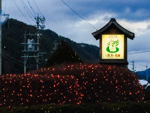 IMG_6621