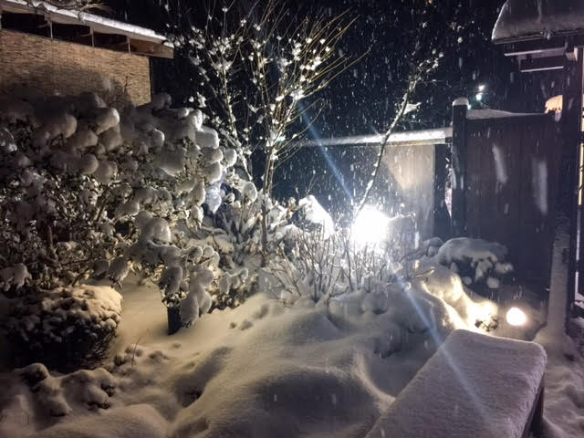 snow